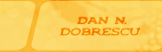 Dan N. Dobrescu