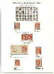 Click to enlarge the image