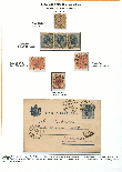Click to enlarge the image