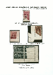Click to enlarge the image