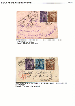 Click to enlarge the image