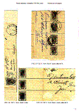 Click to enlarge the image
