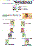 Click to enlarge the image