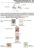 Click to enlarge the image