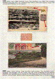 Click to enlarge the image
