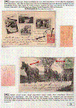 Click to enlarge the image