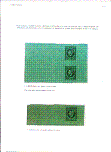 Click to enlarge the image