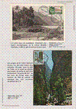 Click to enlarge the image